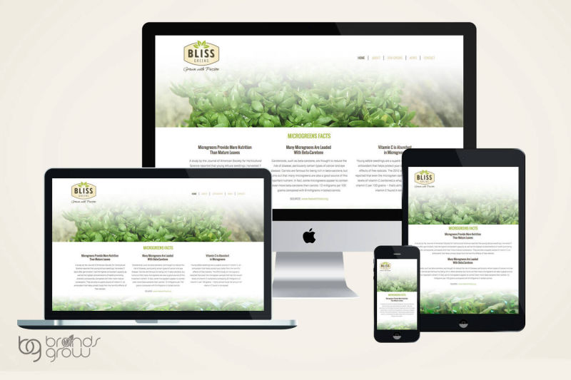 Brands Grow Inc. Food Photography